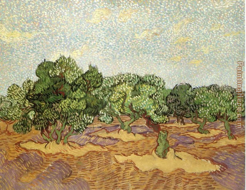 Olive Grove II painting - Vincent van Gogh Olive Grove II art painting